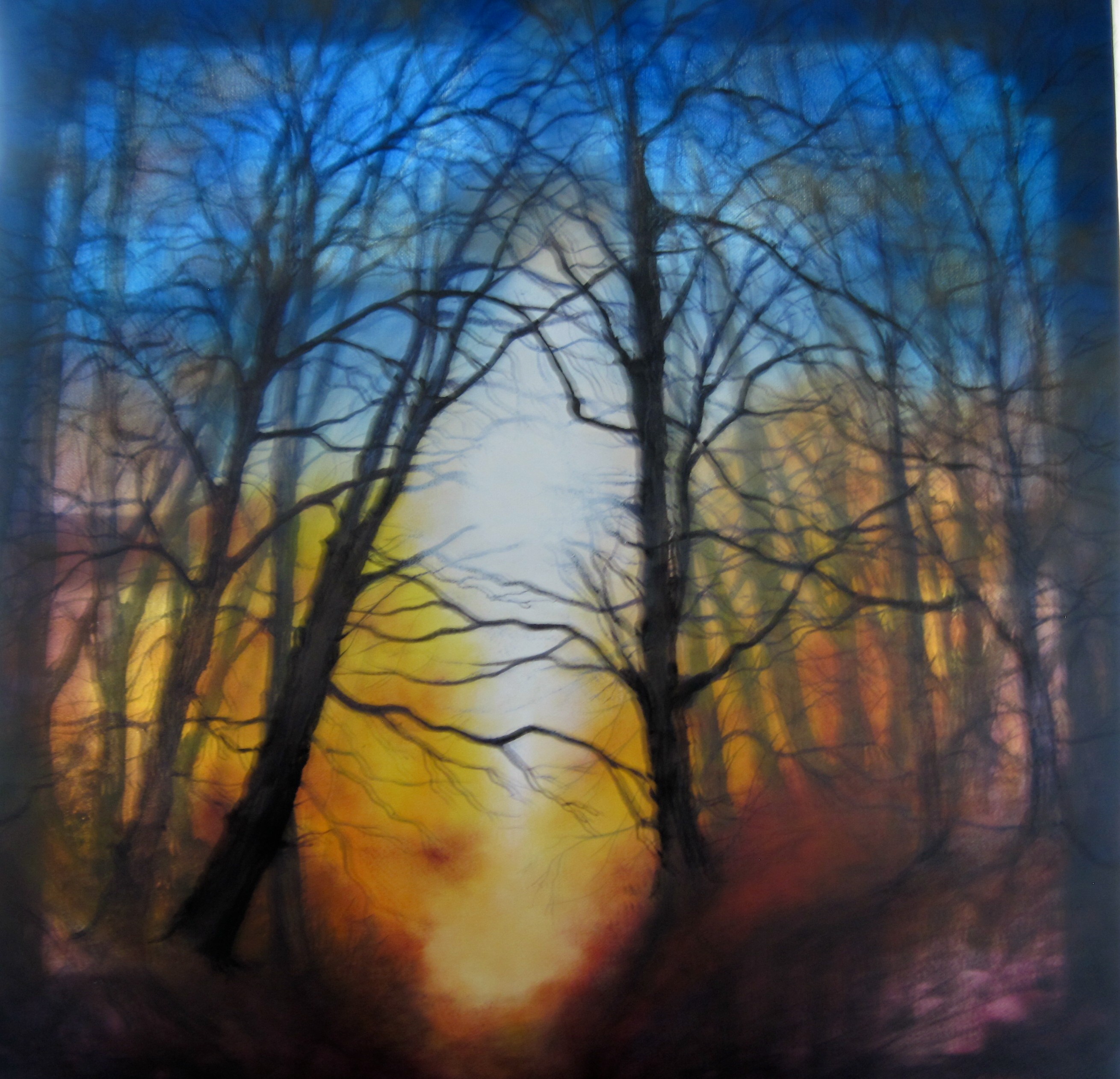 Forest Sunset