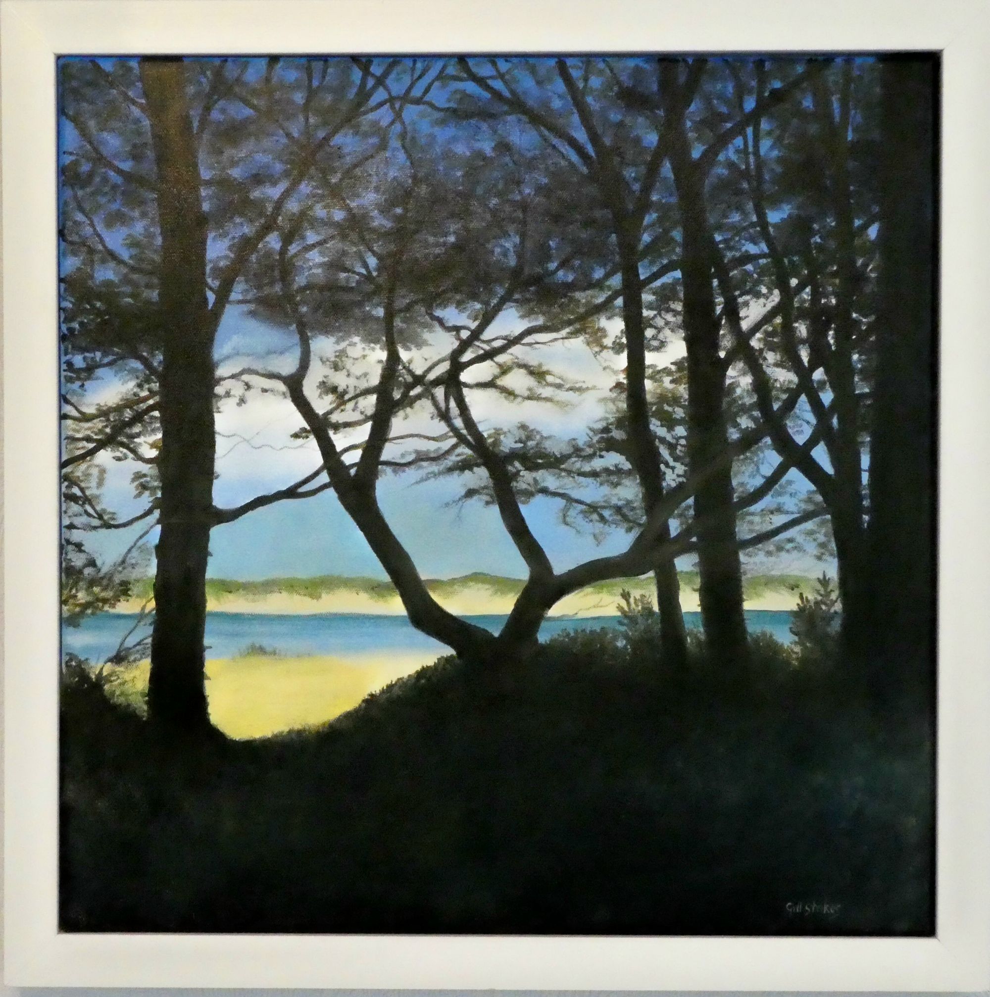 At the Edge of Culbin Forest