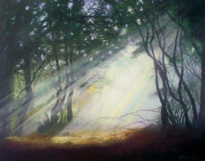 Early Morning in the Forest