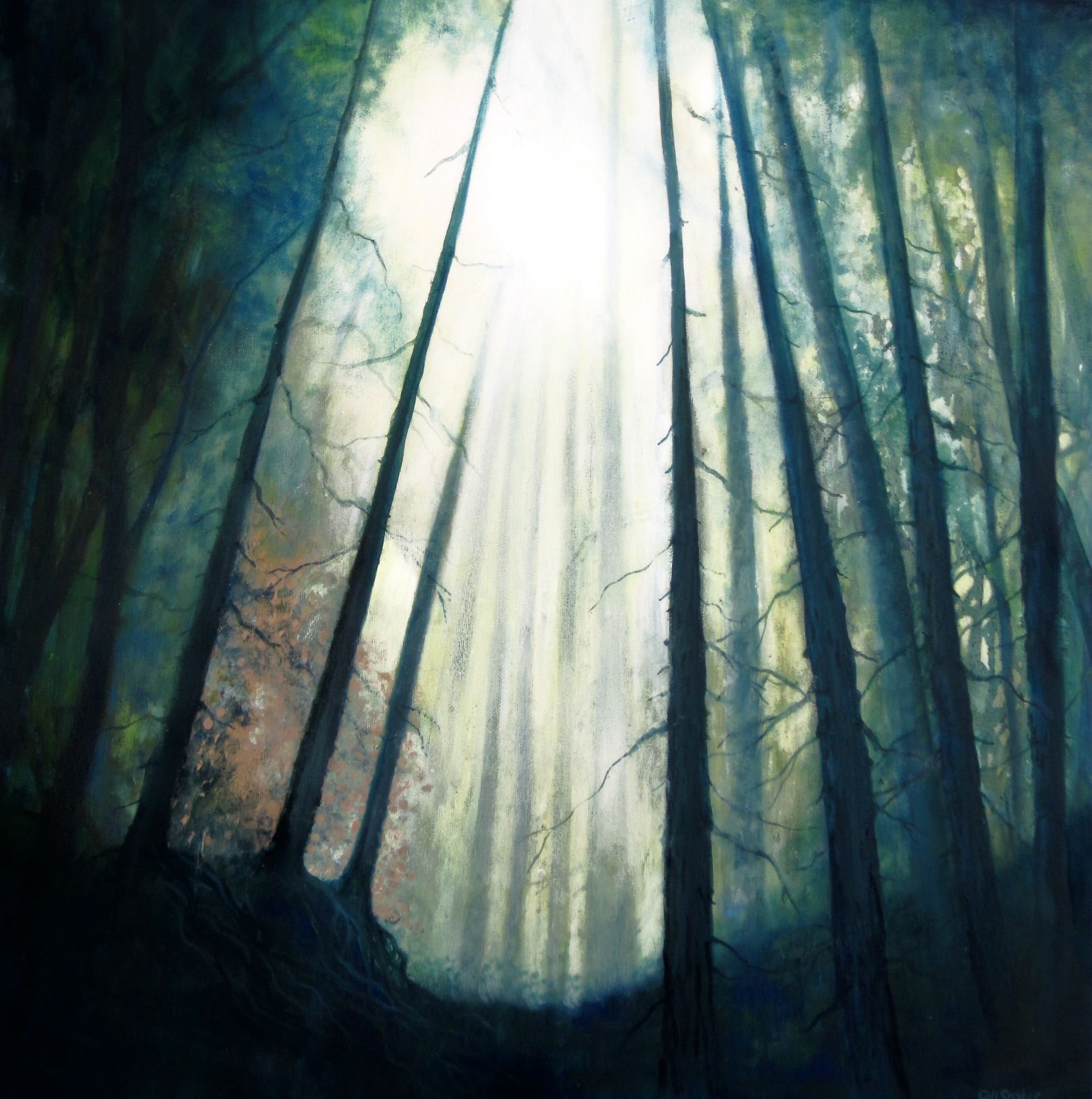 Morning Light