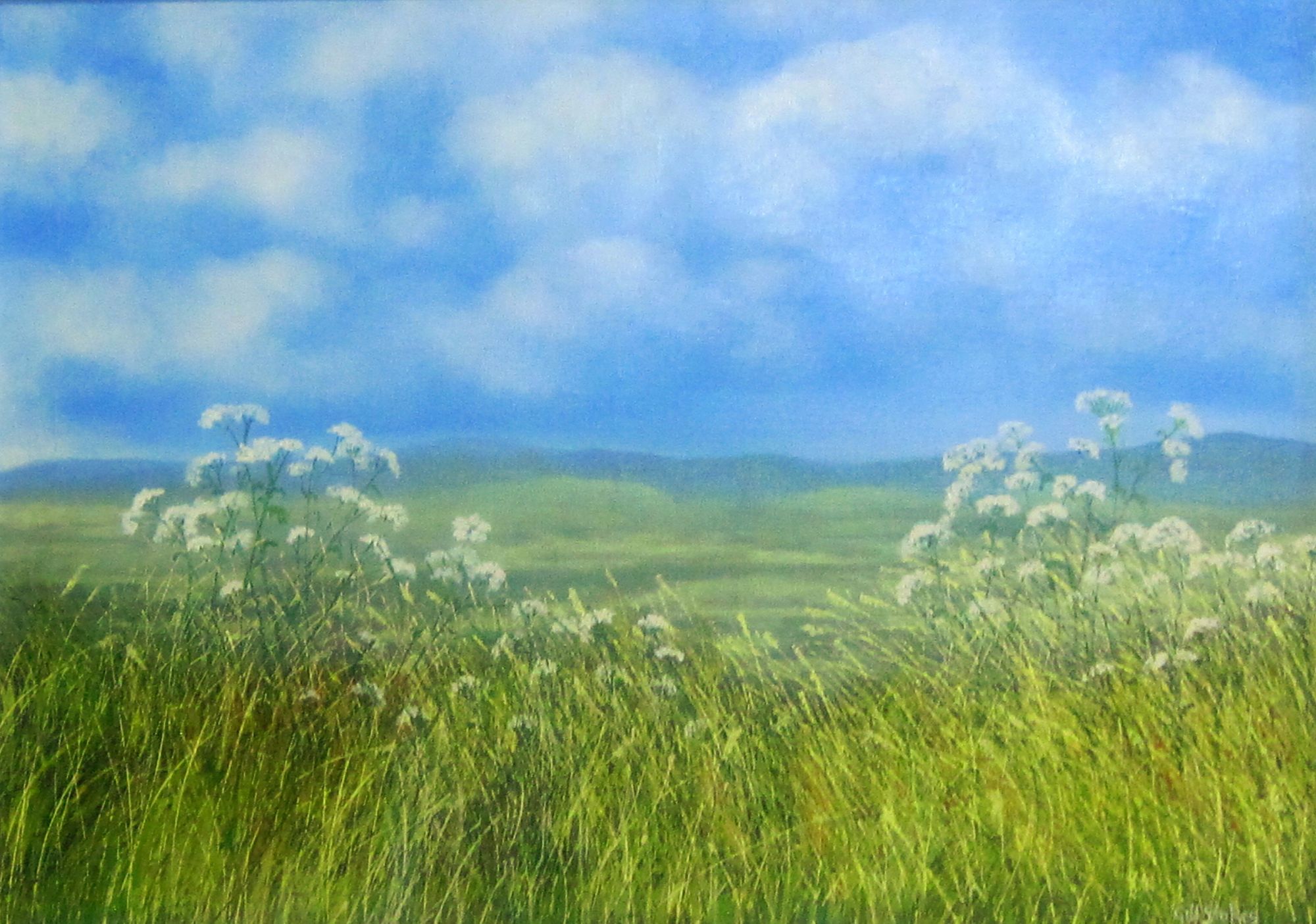 Summer Afternoon