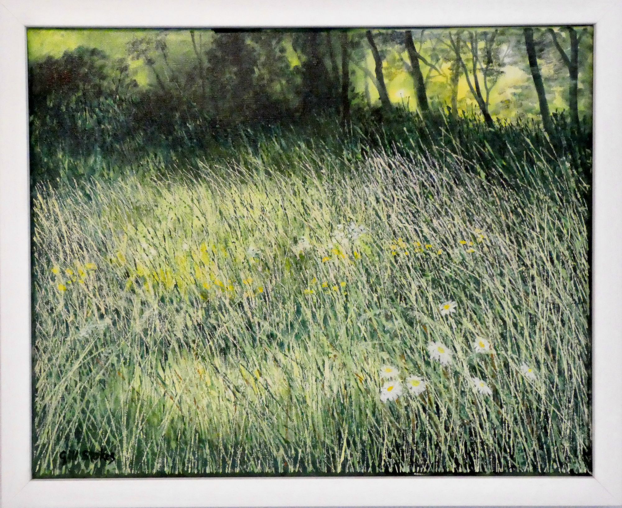 Summer Meadow