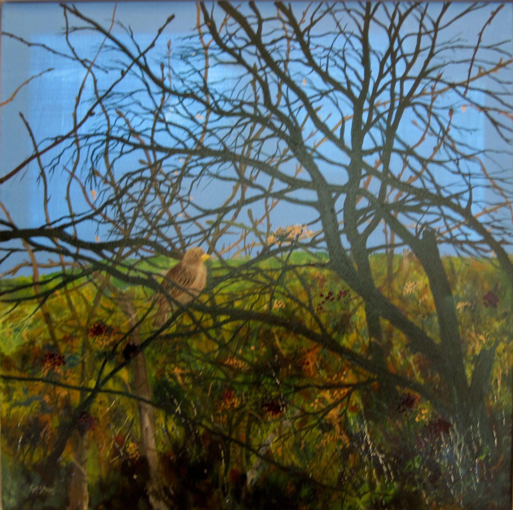Autumn Hedgerow